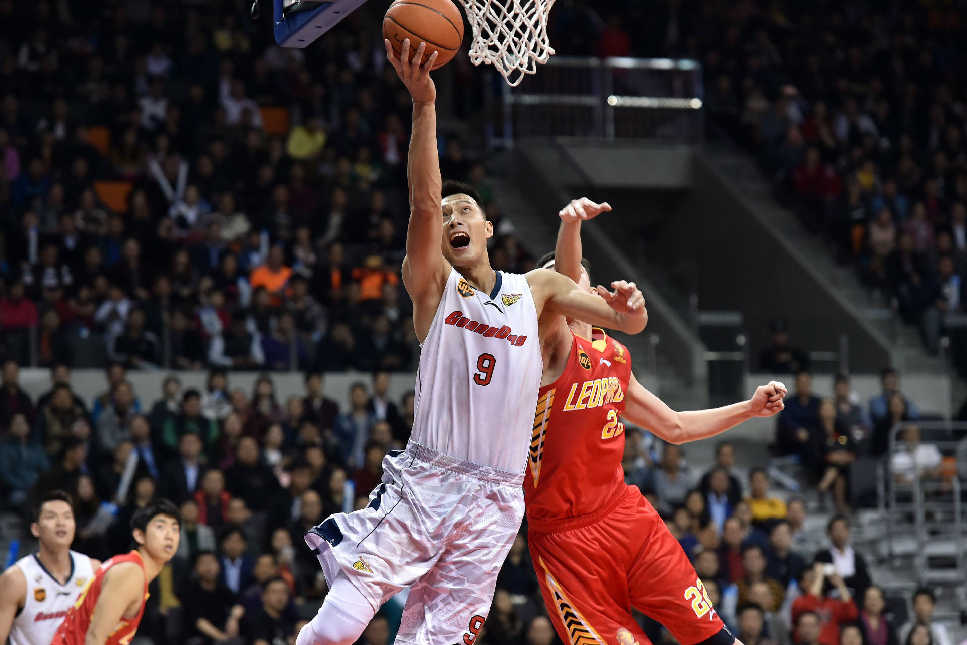 样本充足 样本充足
